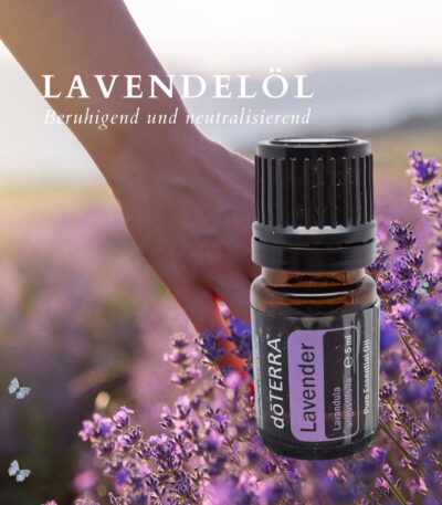 Lavendelöl von dōTERRA