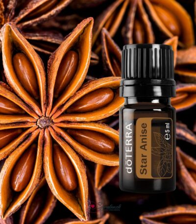 Star Anise von dōTERRA