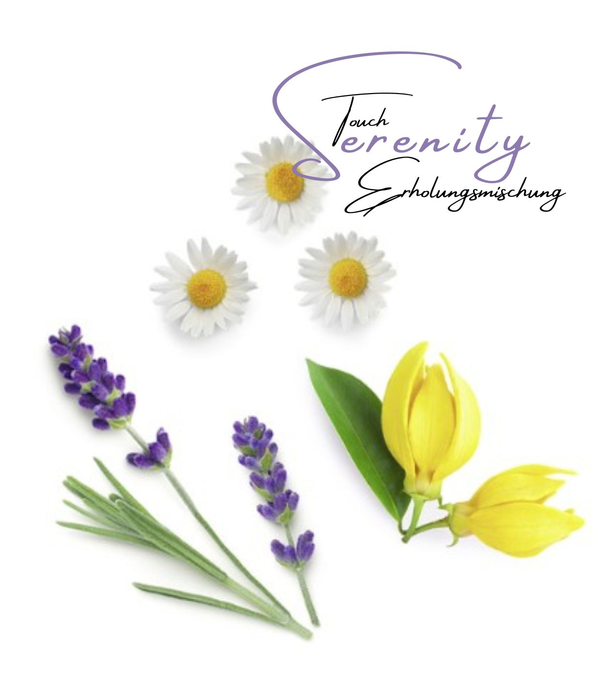 Serenity Touch von dōTERRA – Bild 2