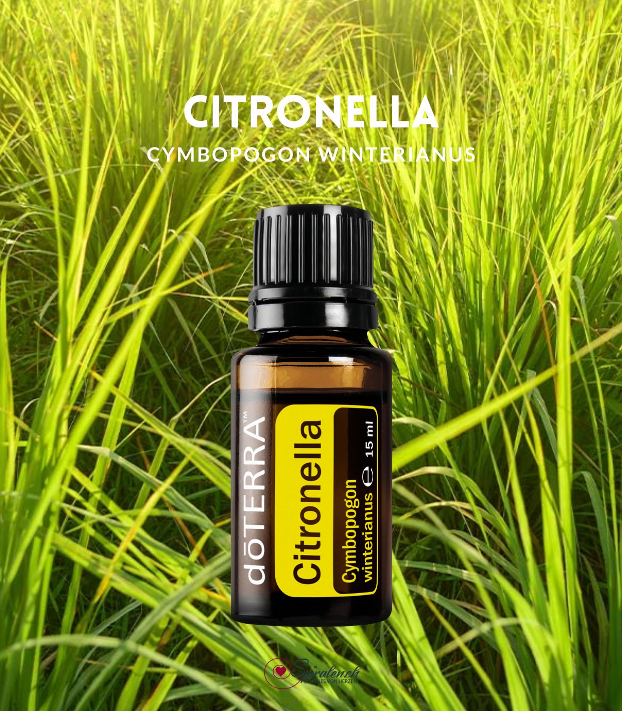 Citronella von dōTERRA – Bild 3