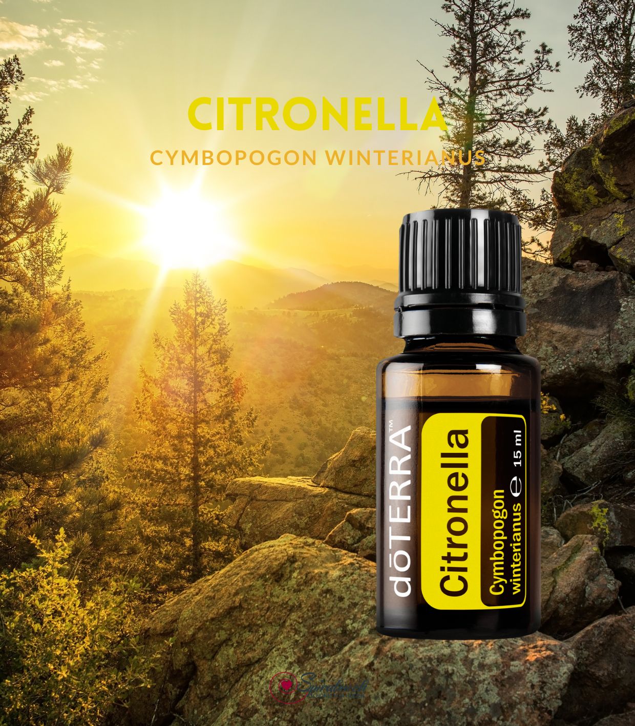 Citronella von dōTERRA – Bild 2